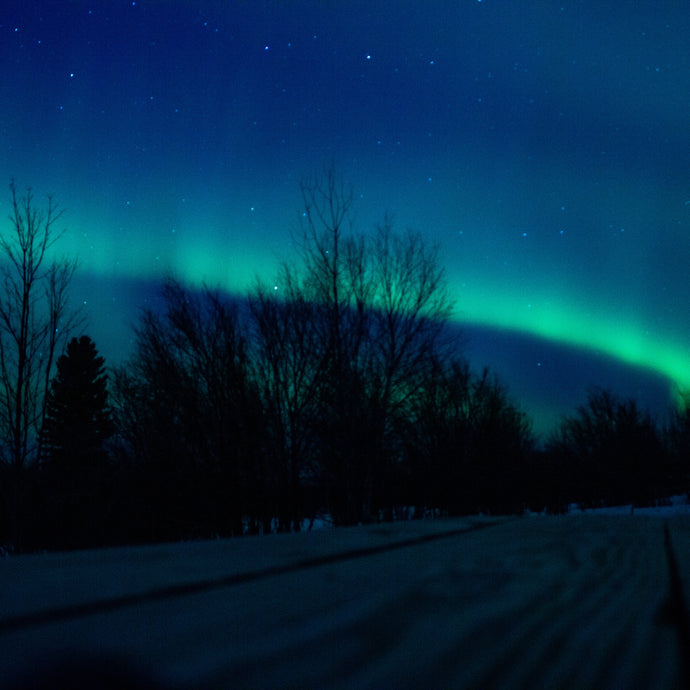 Summer Aurora Hunting