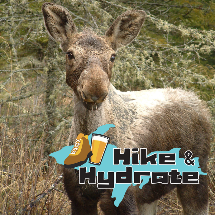 Hike & Hydrate: Isle Royale's Greenstone Ridge Trail and the Keweenaw Brewing Company