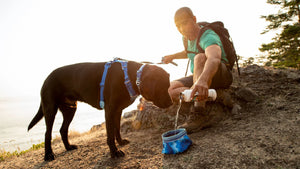 Ruffwear Quencher Bowl