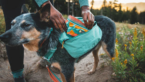 Ruffwear Quencher Bowl