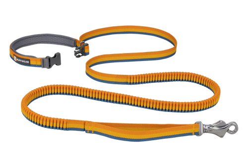 Ruffwear Roamer Leash