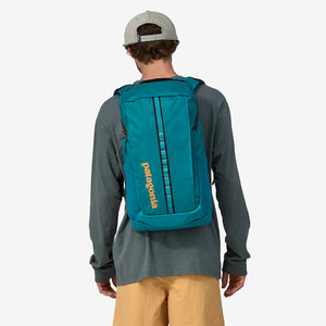 Patagonia Black Hole Pack 25L