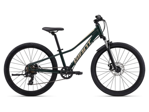 GIANT Talon 24 Disc Trekking Green