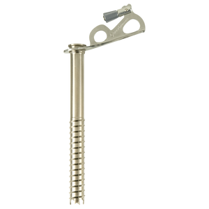 Black Diamond Express Ice Screw