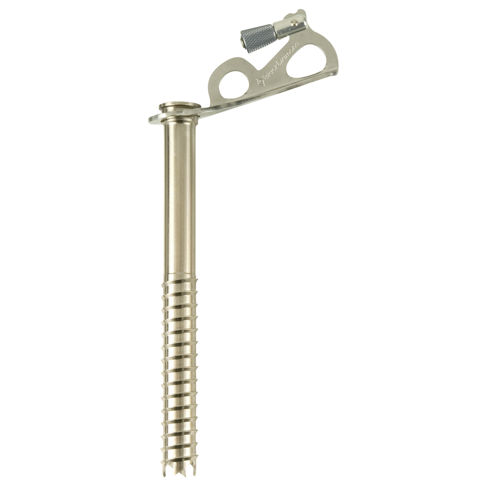 Black Diamond Express Ice Screw