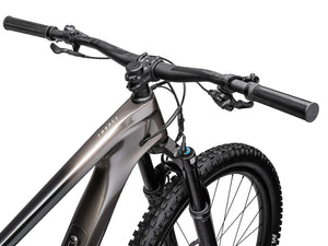 GIANT Trance Advanced Pro 29 2