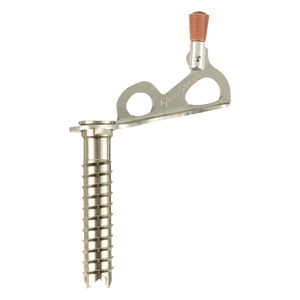 Black Diamond Express Ice Screw